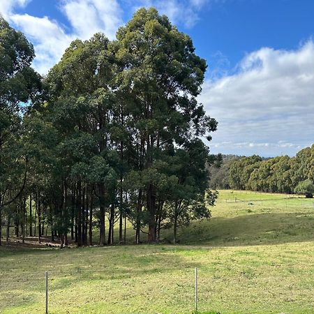 Blueberry Hills On Comleroy Farmstay - Self-Contained Cottages Kurrajong Bagian luar foto