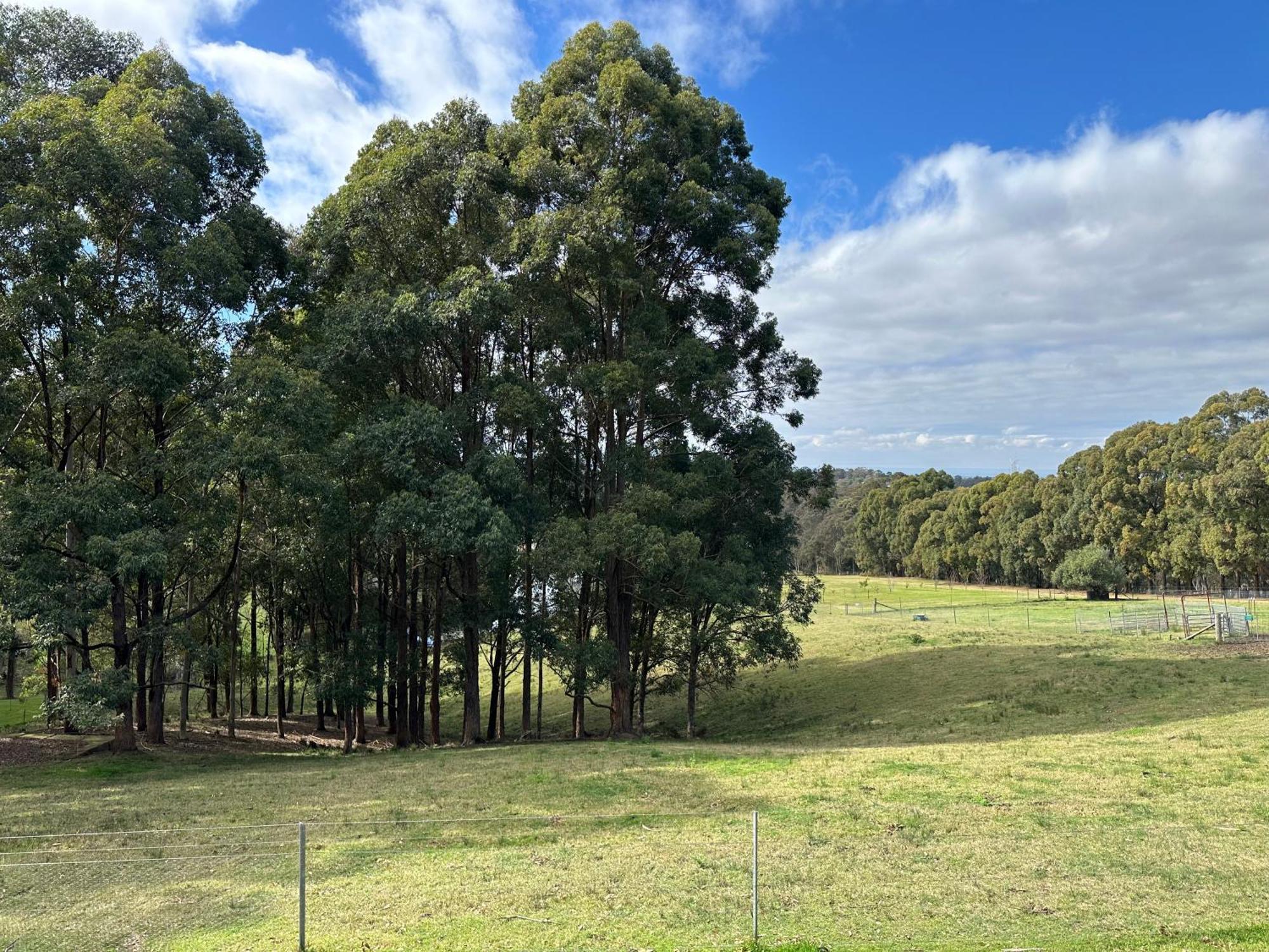 Blueberry Hills On Comleroy Farmstay - Self-Contained Cottages Kurrajong Bagian luar foto