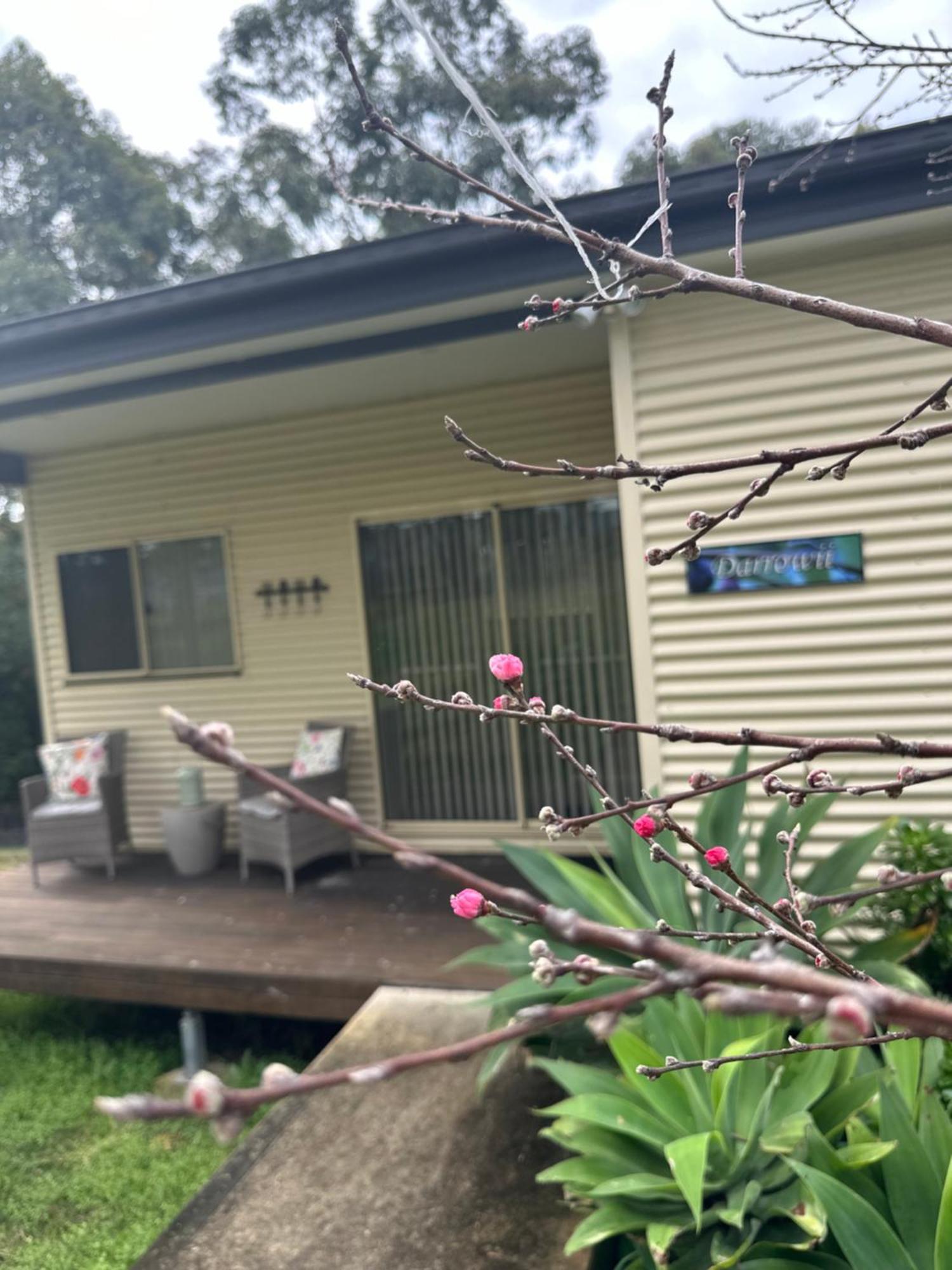 Blueberry Hills On Comleroy Farmstay - Self-Contained Cottages Kurrajong Bagian luar foto