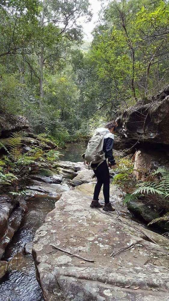 Blueberry Hills On Comleroy Farmstay - Self-Contained Cottages Kurrajong Bagian luar foto