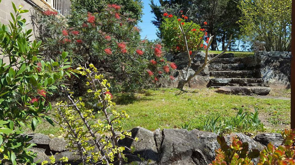 Blueberry Hills On Comleroy Farmstay - Self-Contained Cottages Kurrajong Bagian luar foto
