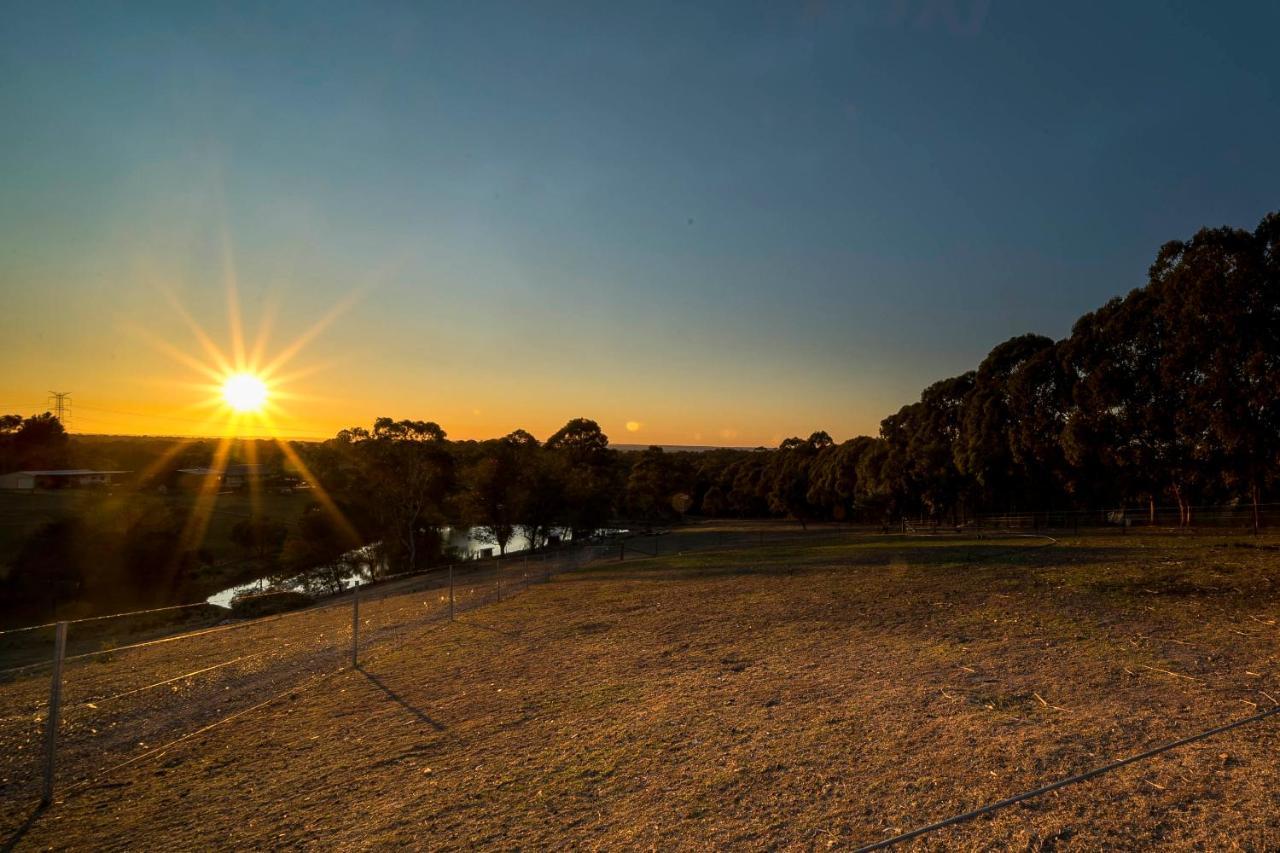 Blueberry Hills On Comleroy Farmstay - Self-Contained Cottages Kurrajong Bagian luar foto