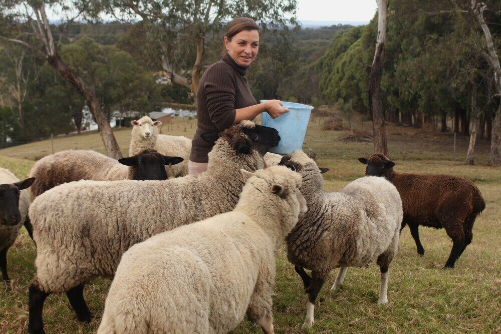 Blueberry Hills On Comleroy Farmstay - Self-Contained Cottages Kurrajong Bagian luar foto